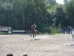 DSC_9315_web